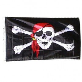 Vlag Piraten